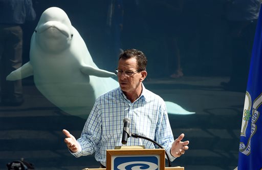 Connecticut Governor-Whale