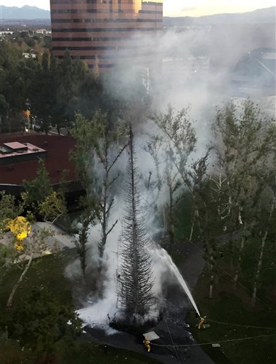 In a photo provided by David Songer, firefighters douse a giant Christmas tree that was engulfed in fire outside the the Westin South Coast Plaza hotel in Costa Mesa, Calif. on Monday, Dec. 14, 2015. The fire destroyed the 96-foot-tall Christmas tree. The cause is under investigation. (David Songer via AP)