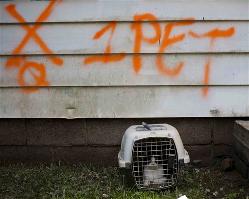 Nina, a cat, sits inside a pet crate after being rescued from flash flooding outside a home in Rainelle, W.Va. Sunday, June 26, 2016. (Christian Tyler Randolph/Charleston Gazette-Mail via AP) MANDATORY CREDIT