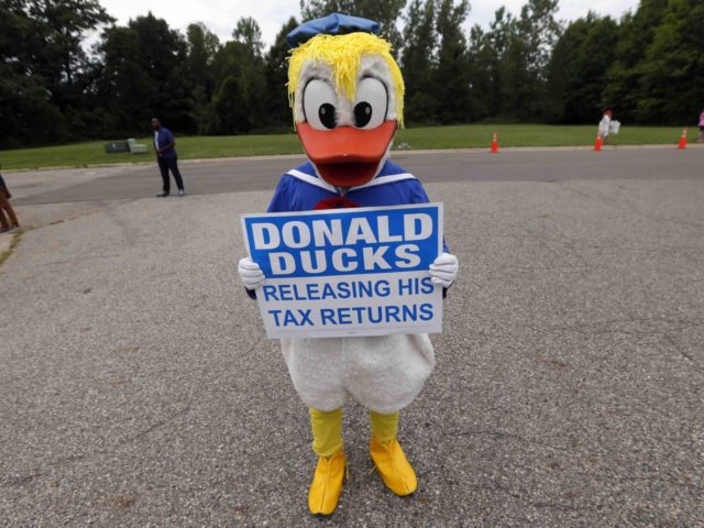 donald duck costume