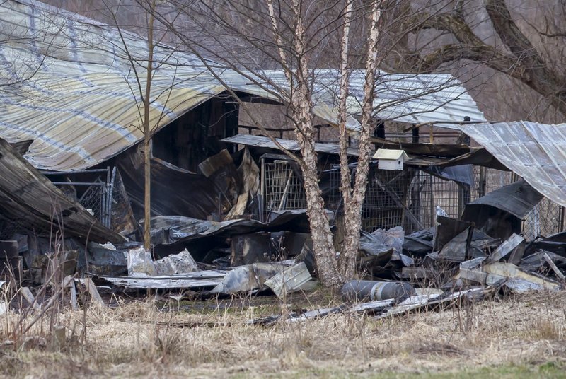 Over 30 dogs killed in kennel fire (heartbreaking!) The Horn News