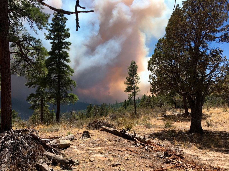 Firefighters fear strong winds as Arizona wildfire grows The Horn News