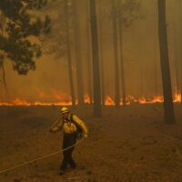 Los Angeles' Dem mayor flees country as city burns