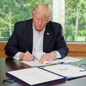 Genius Investor: Trump's 
