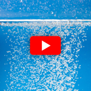 Nobel Prize discovery TERRIFIES oncologists