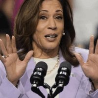 Kamala Harris blames minorities, homosexuals for her 2024 loss?