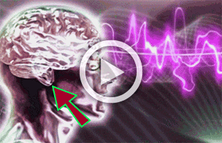 M2Pq2AAAAAZJREFUAwB5mRfMxcYNCgAAAABJRU5ErkJggg==